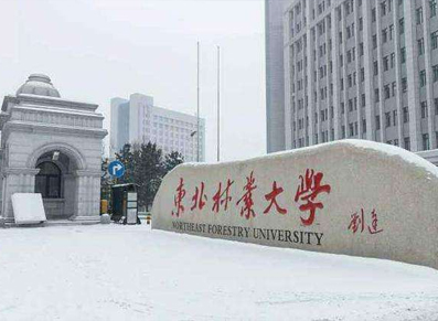 东北林业大学