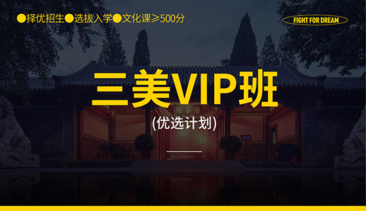 三美VIP班