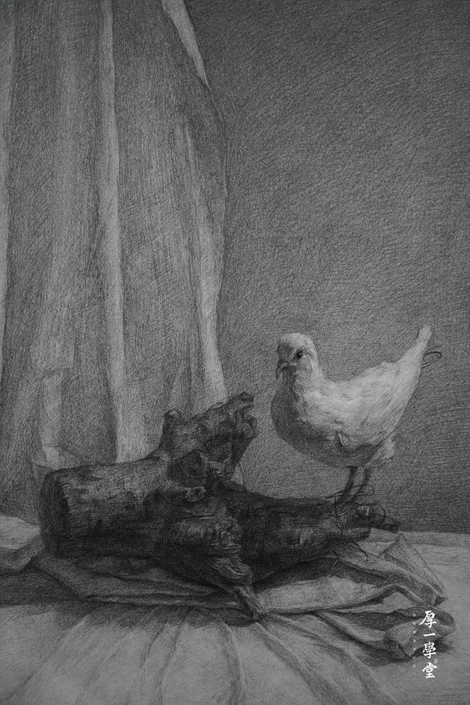 厚一优秀学员校藏作品-素描静物